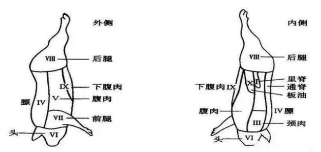 肉类分割的操作要点（猪肉分割技巧教程）