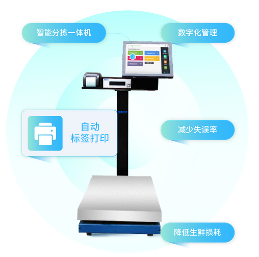 生鲜分拣机有哪些品牌好用，全面解析市场上的佼佼者