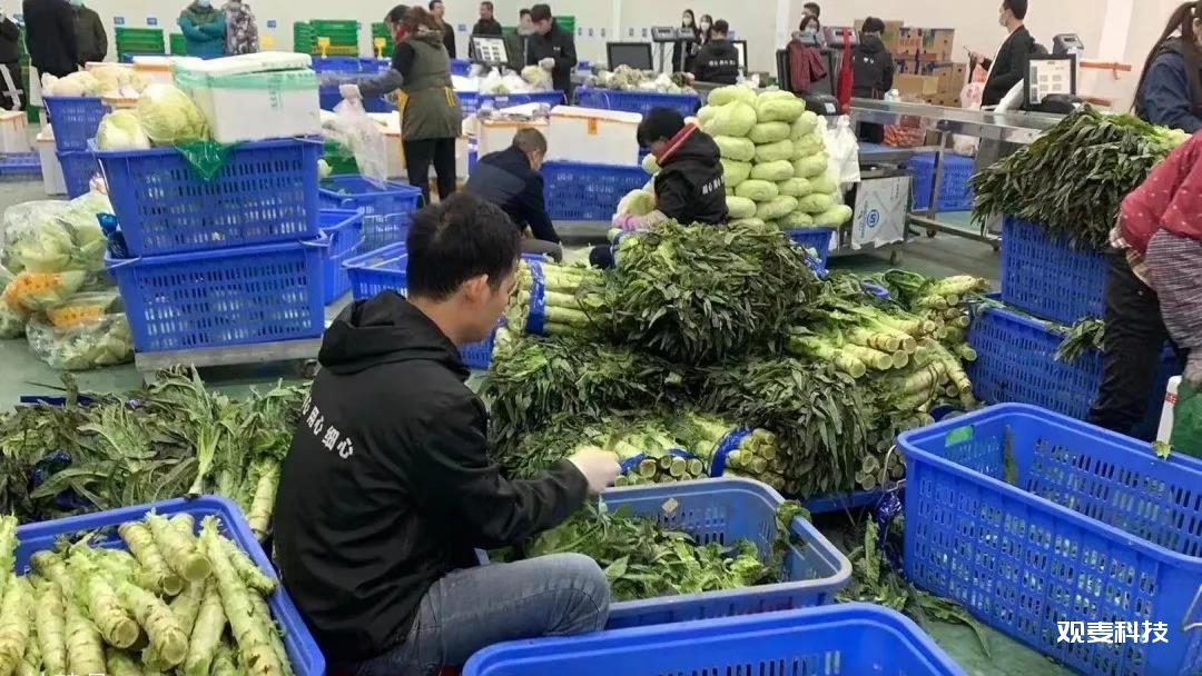 生鲜分拣员怎么分拣 蔬菜分拣员怎样做才不会出错